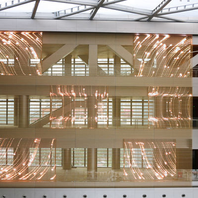 Schermo di visualizzazione creativo trasparente astuto del LED P15.6 con il FCC di RoHS certificato